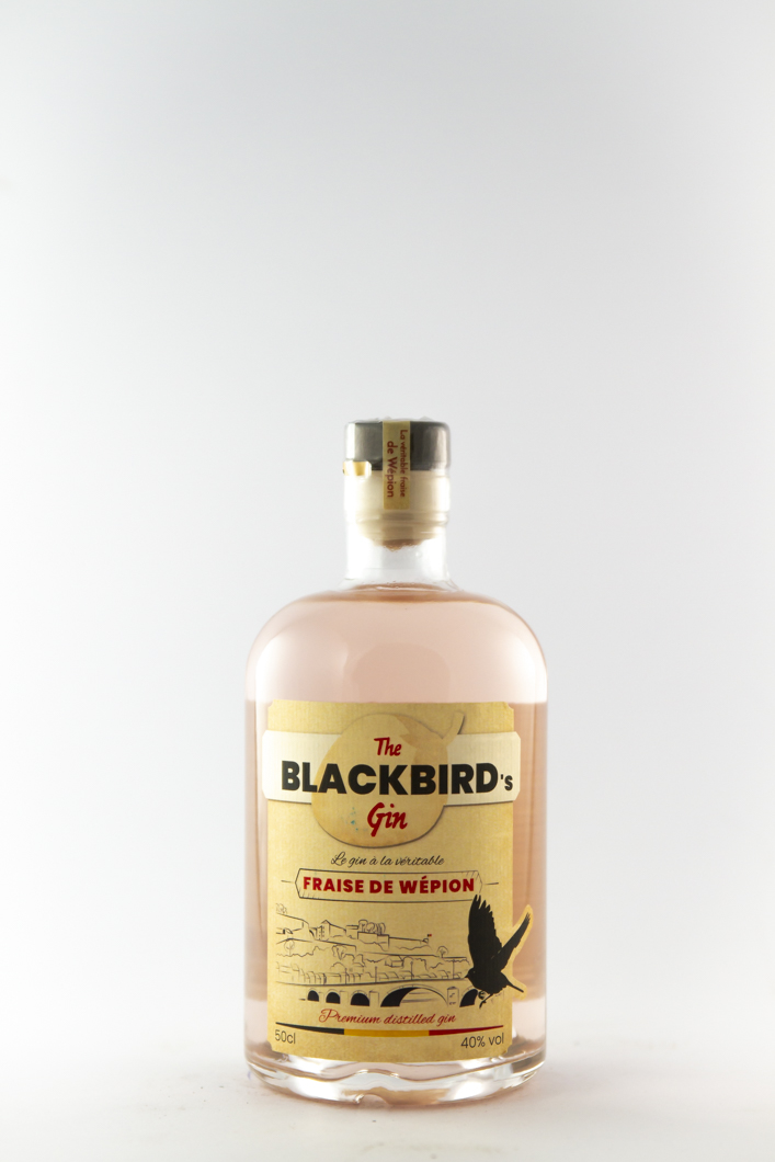 Gin Black Bird, distillerie de namur Terra Nova 50 cl Alcool