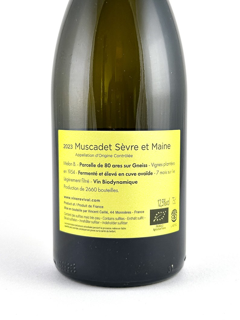 AOP Muscadet sur Lie Le fayt d'homme, Vincent caille Terre de Gneiss, Bio, Biodynamie 2023 75 cl Blanc