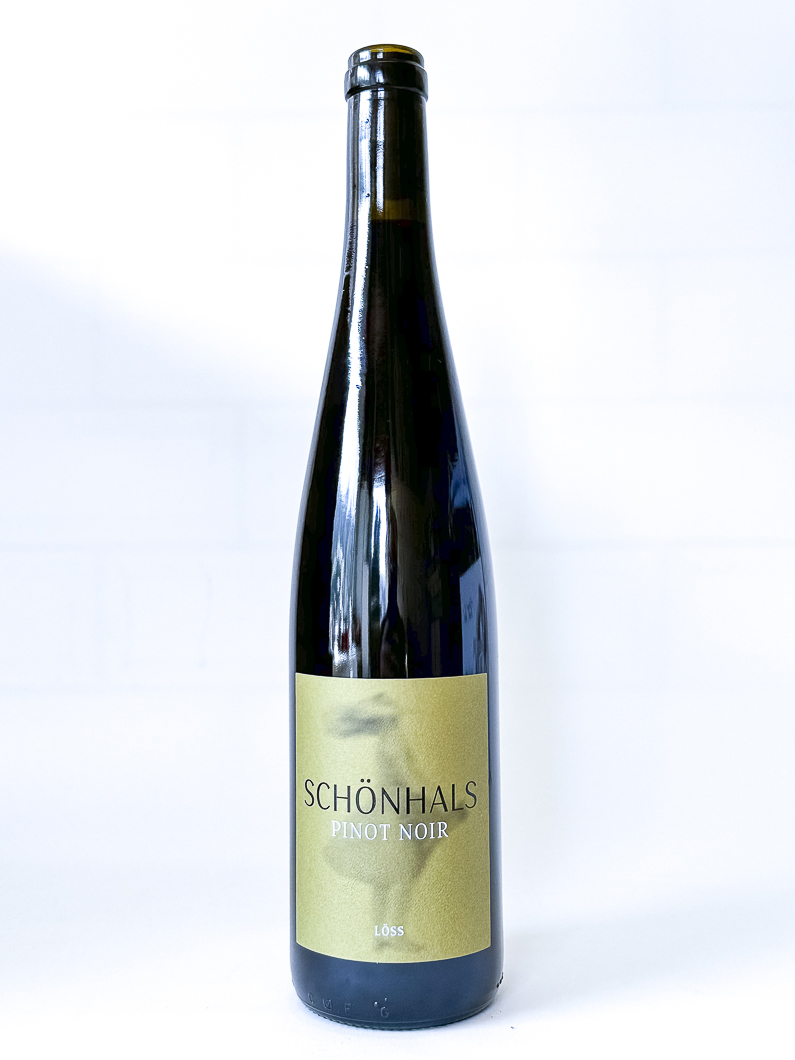 pinot noir weingut schoenhals Löss, BIO 2021 75 cl Rouge