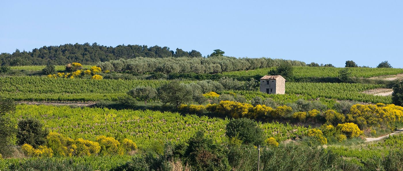 Odoo CMS - Gallery sample